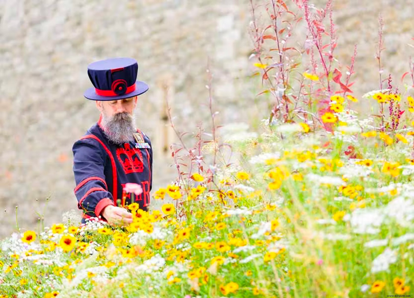 A Magnificent Superbloom celebrará el jubileo de platino de la reina Isabel II este verano 