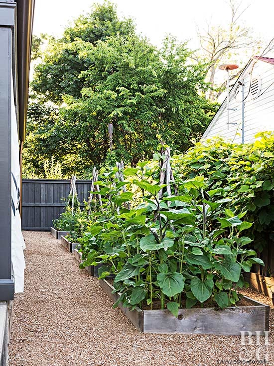 Recorra una casa inspirada en un jardín que se duplicó en tamaño 