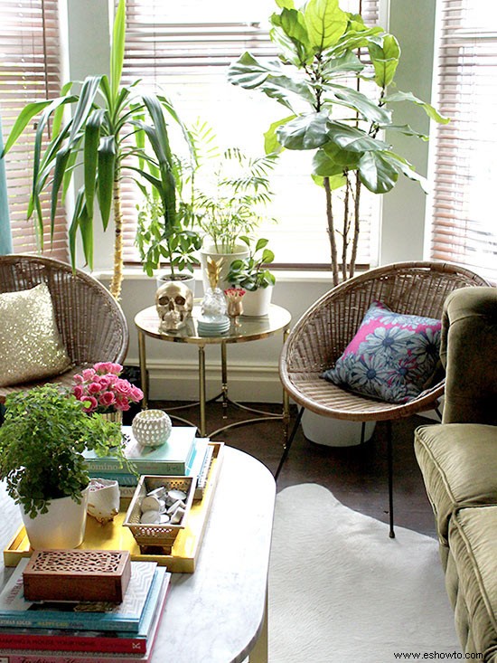 5 habitaciones mejoradas con adorables plantas de interior 