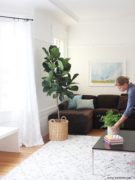 5 habitaciones mejoradas con adorables plantas de interior 