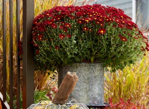 12 Ideas Creativas y Festivas para Decorar tu Hogar con Calabazas de Otoño