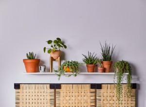 7 proyectos DIY de tejido de ratán: domina esta tendencia decorativa en casa