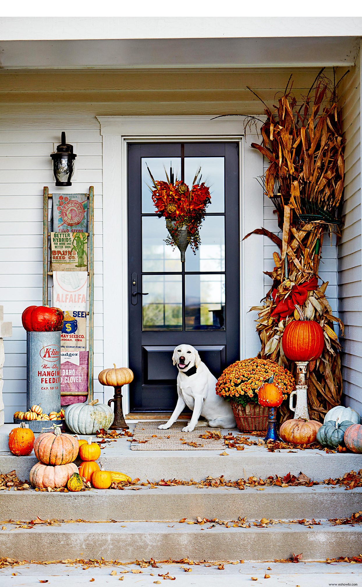 7 ideas atractivas para la decoración de puertas de otoño que van más allá de las coronas 