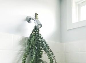 Paquetes de ducha de eucalipto DIY: Eleva tu rutina diaria con aromaterapia natural