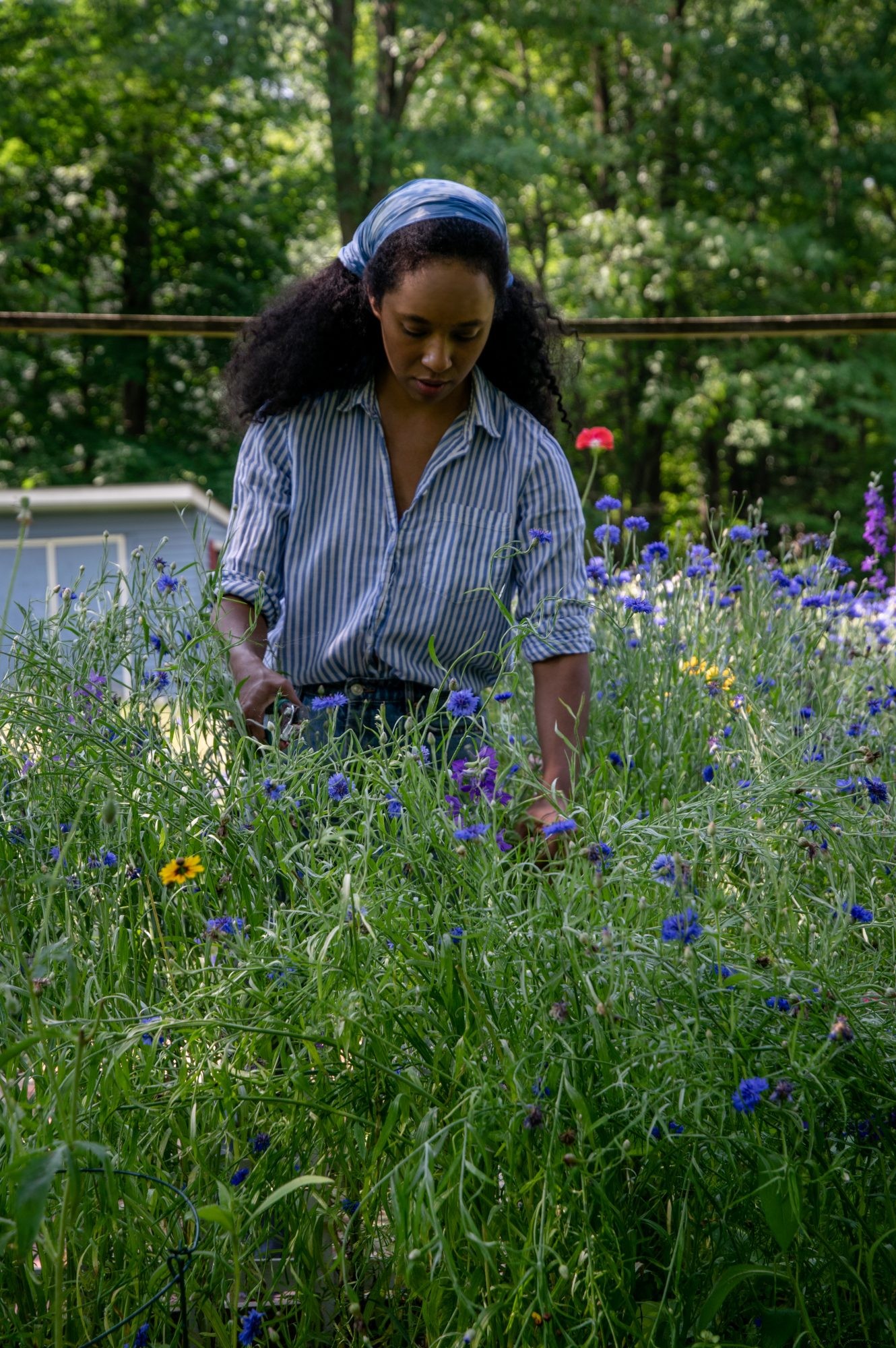 La artista Ronni Nicole Robinson preserva la belleza de las flores con detalles impecables 