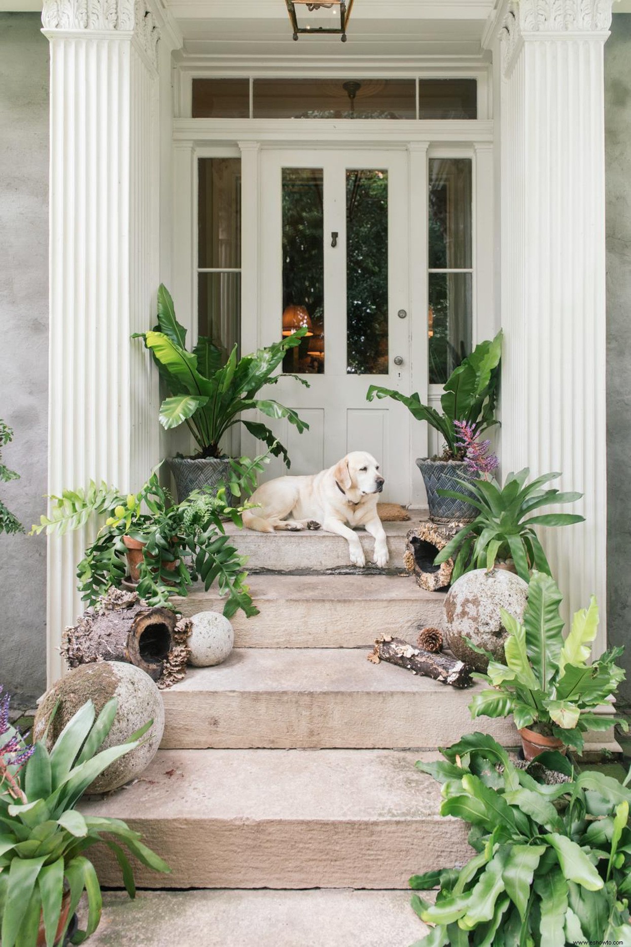 El encanto sureño irradia de esta casa restaurada de Kentucky por dentro y por fuera 