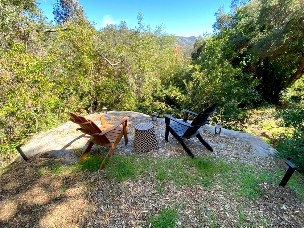 Las vistas al bosque y el almacenamiento inteligente facilitan la vida en esta pequeña casa moderna 