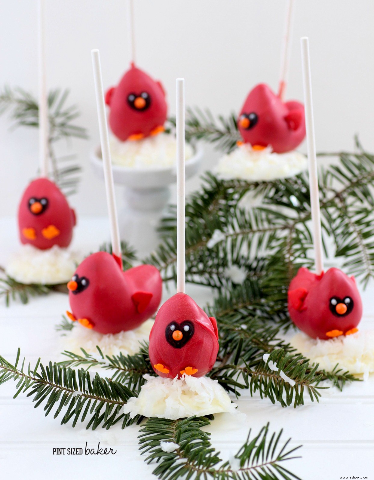 Cake pop cardenal 