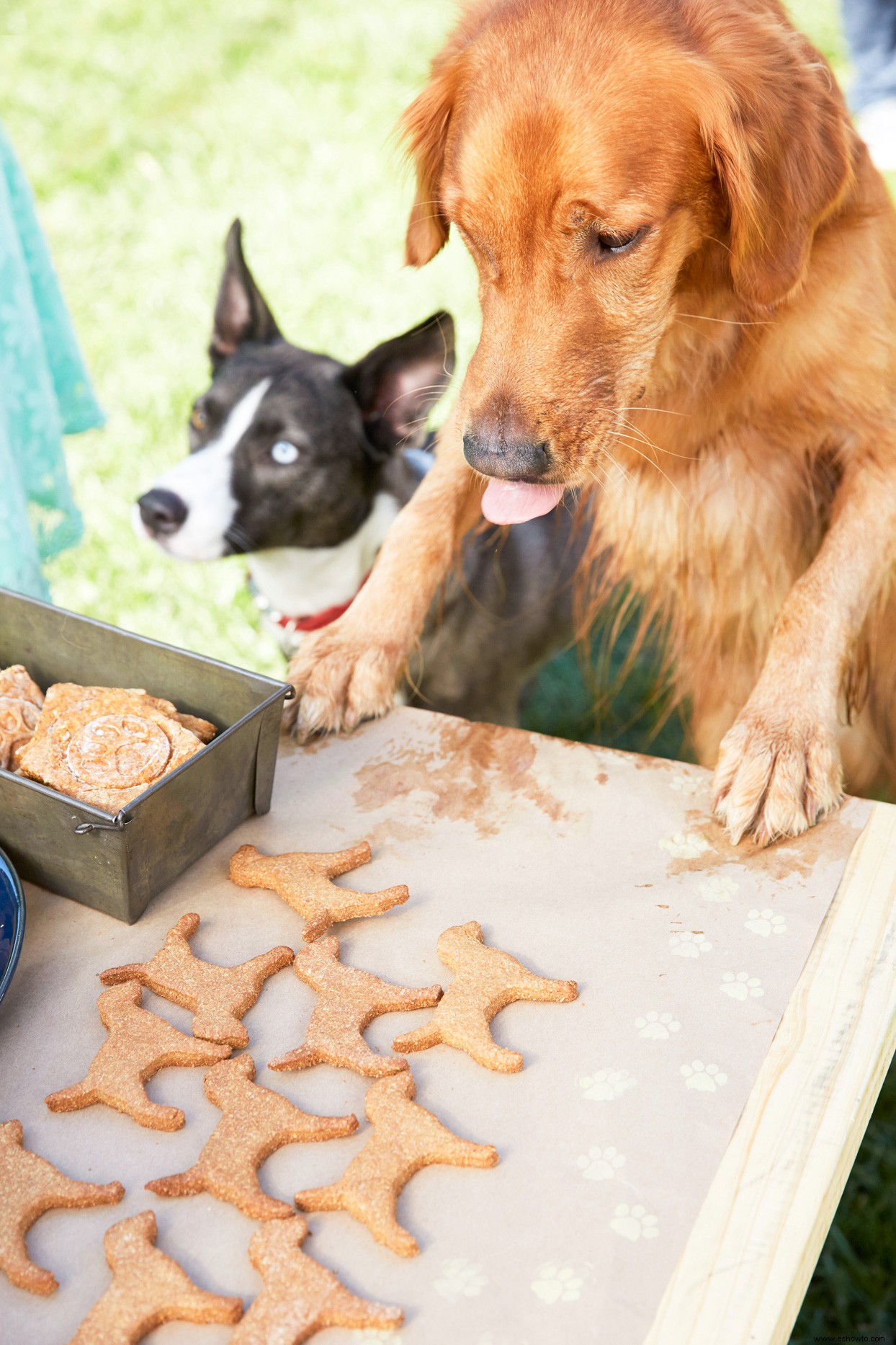 Golosinas para cachorros de mantequilla de maní 