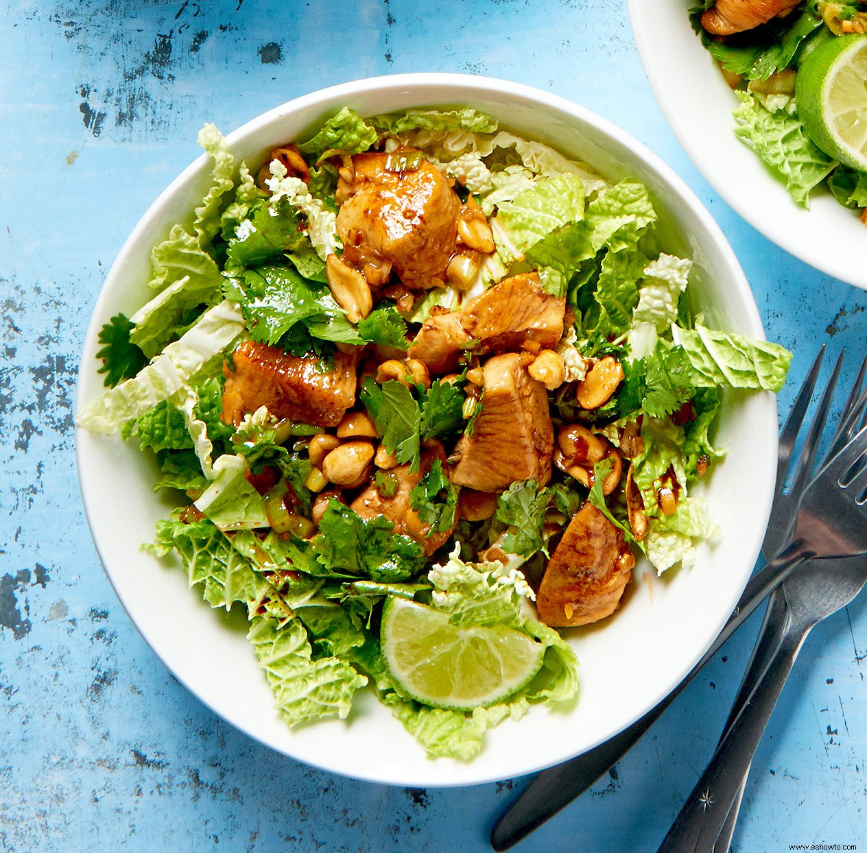 Pollo con cilantro y jengibre con maní 