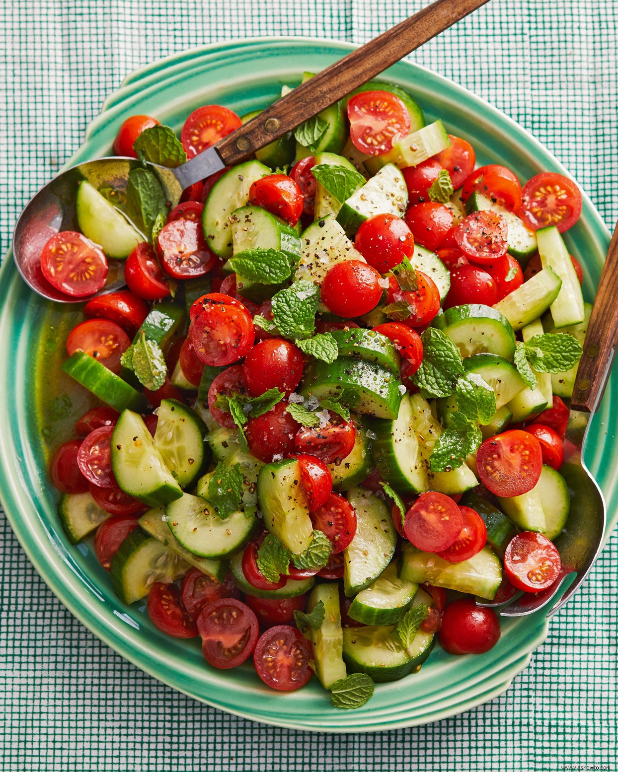 Ensalada De Pepino Y Tomate Con Menta 