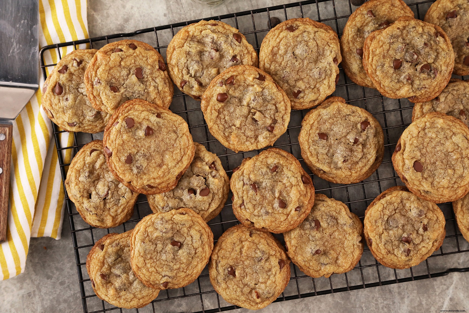 Galletas veganas con chispas de chocolate 