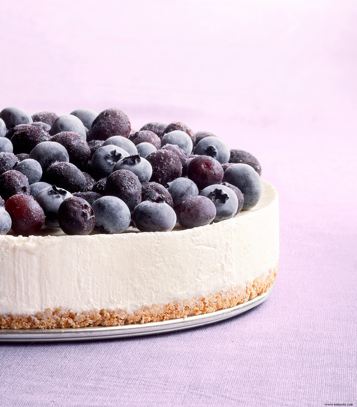 Tarta de queso congelada de arándanos 