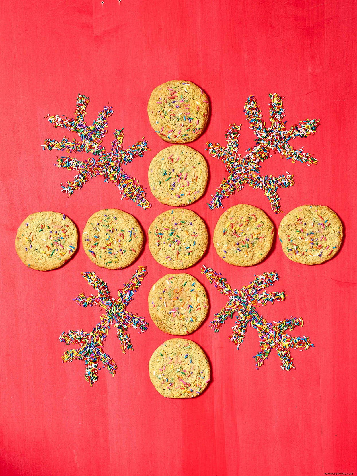 Galletas de azúcar espolvoreadas gigantes 