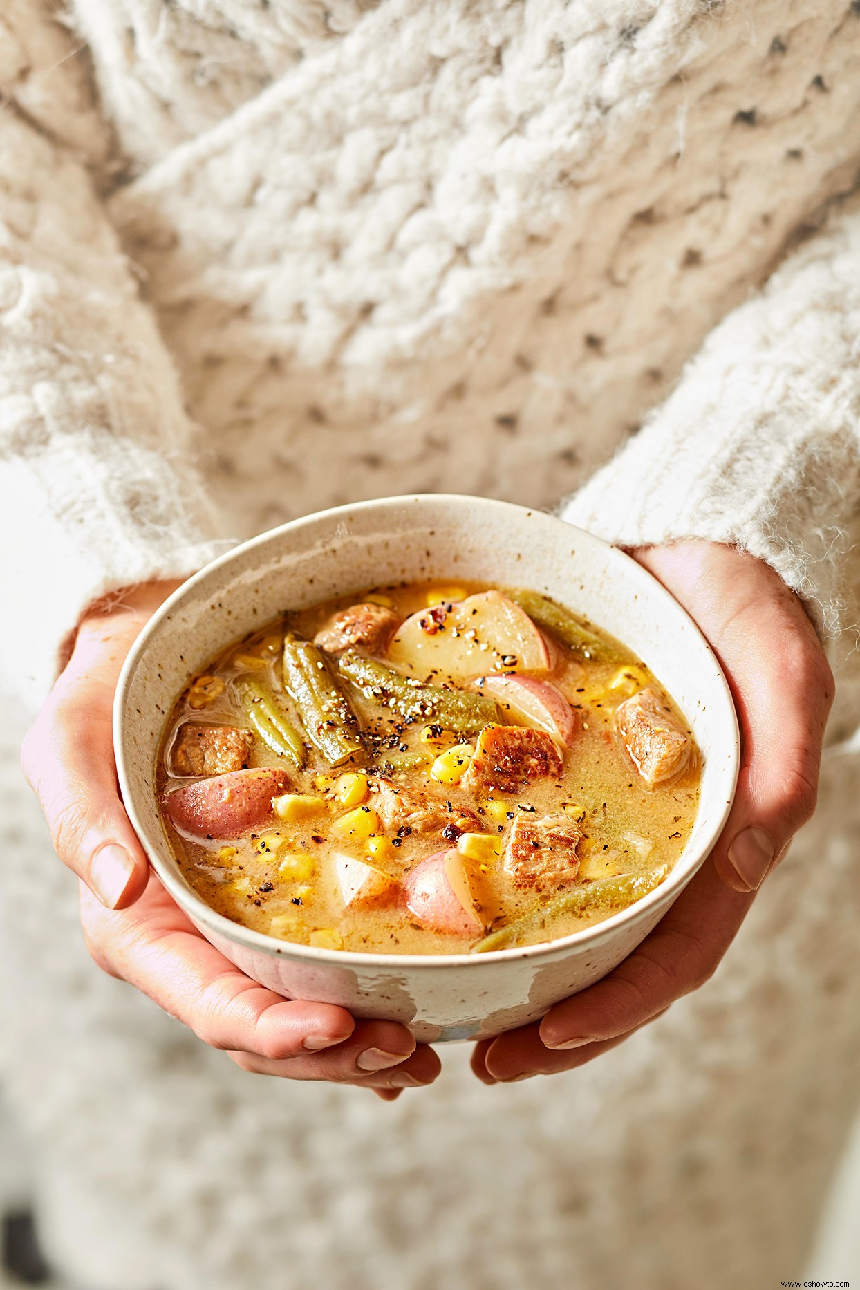 Guiso de verduras y cerdo al horno 