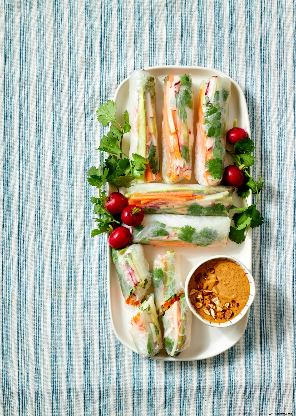 Rollitos Verduras de Verano con Salsa de Almendras 