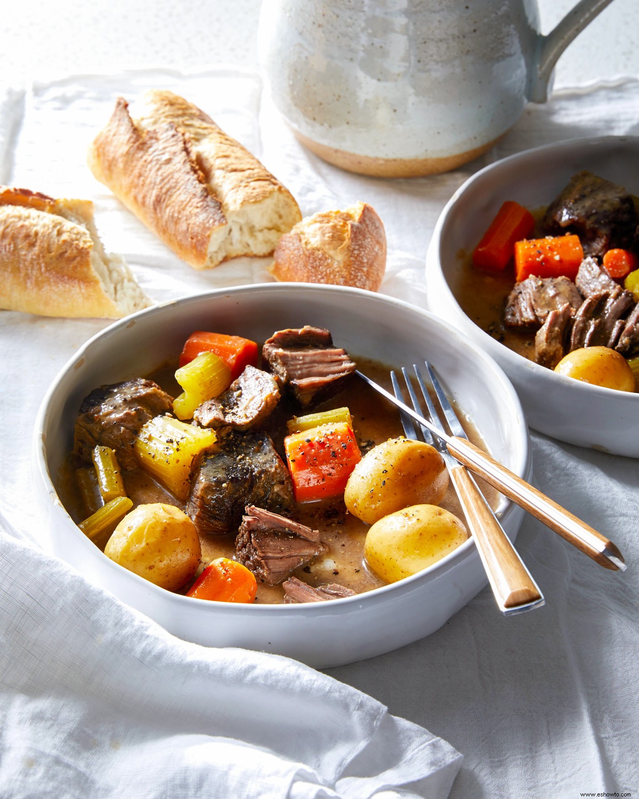 Carne de res y verduras cocinadas a fuego lento 