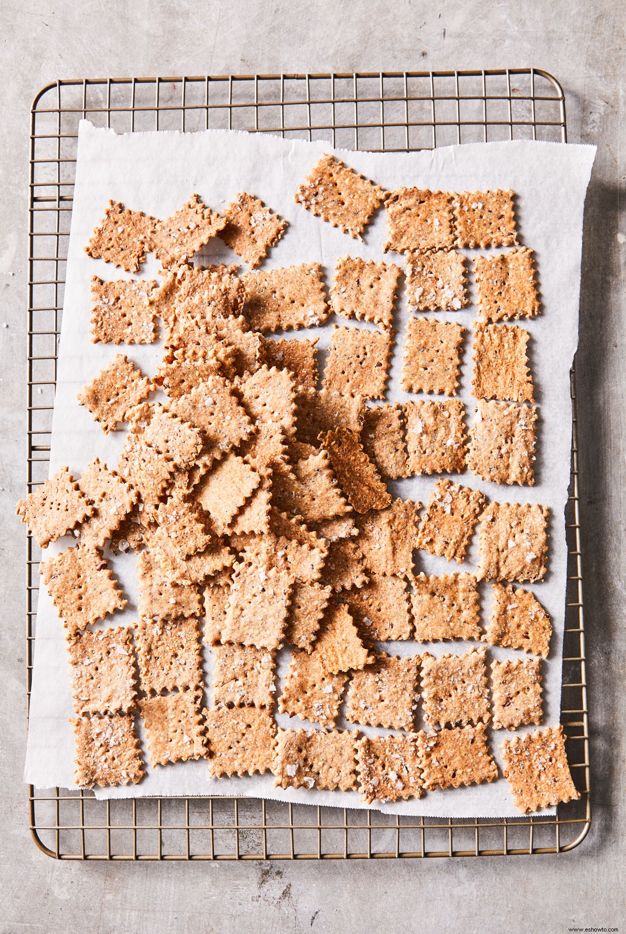 Galletas saladas de masa madre con semillas 