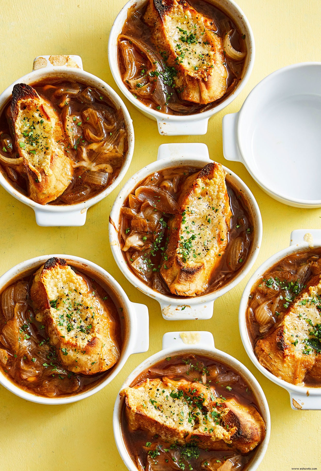 Sopa de cebolla francesa multicocina 