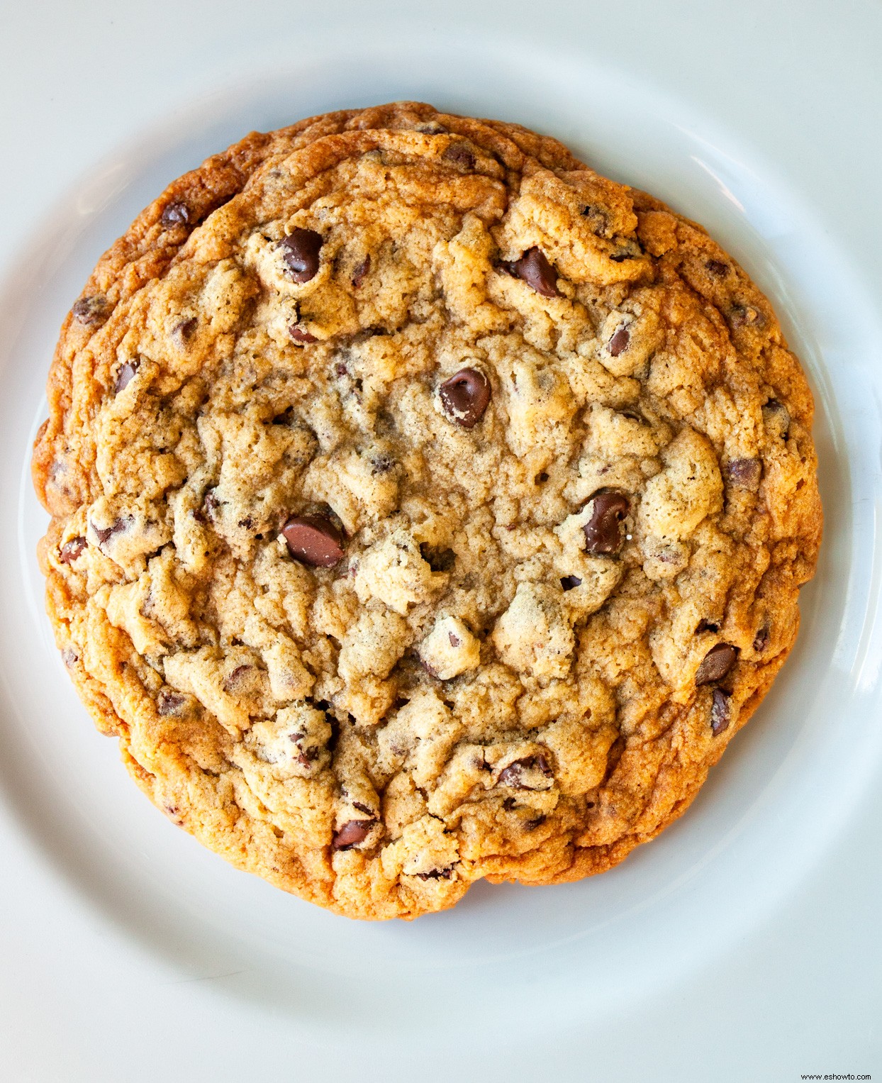 Galleta de chispas de chocolate de una sola porción 