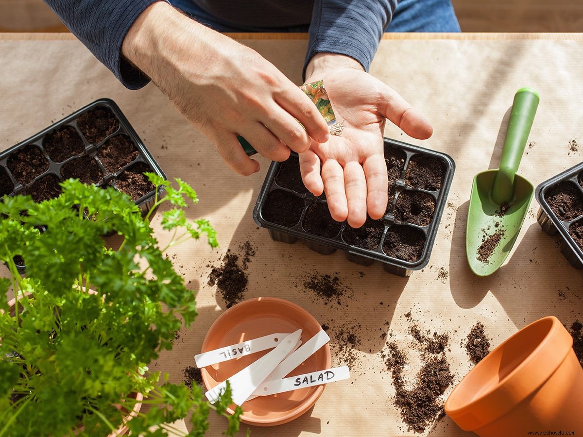 10 verduras que deberías empezar a comer en el interior 