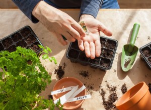 10 verduras que deberías empezar a comer en el interior 