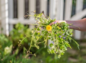8 Métodos Naturales Efectivos para Eliminar Malas Hierbas en tu Jardín