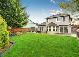 Las 7 Mejores Mejoras para tu Patio Trasero: Aumenta el Valor de tu Hogar