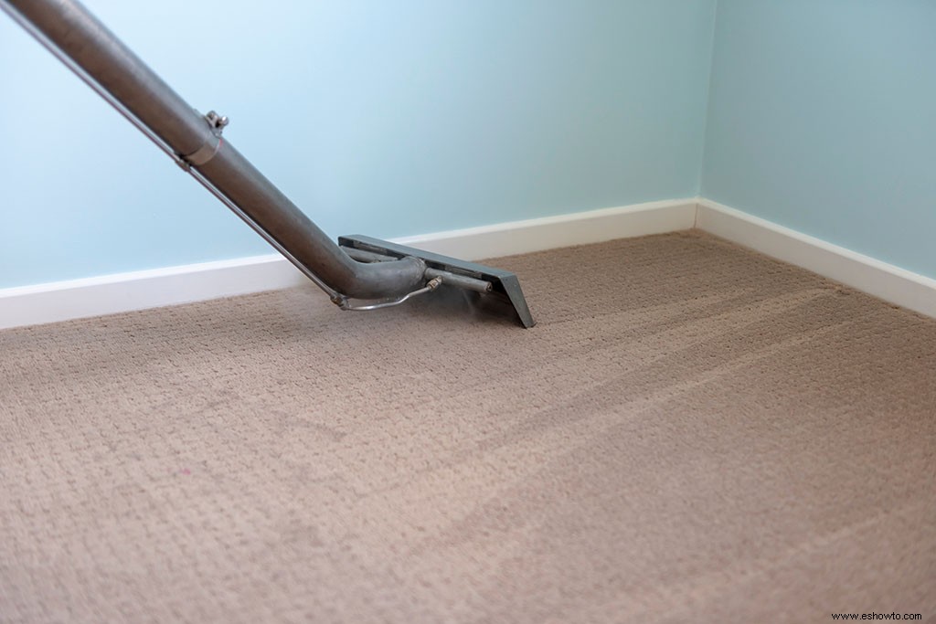 Por qué necesita limpiar las alfombras después de mudarse a un nuevo hogar 