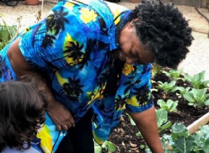 Lecciones de vida del jardín de mi madre: De piscina inundada a oasis orgánico