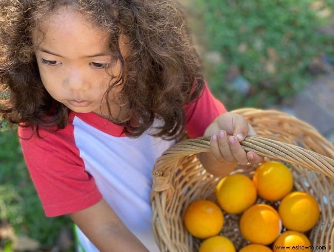 He cosechado lecciones invaluables del jardín de mi madre 