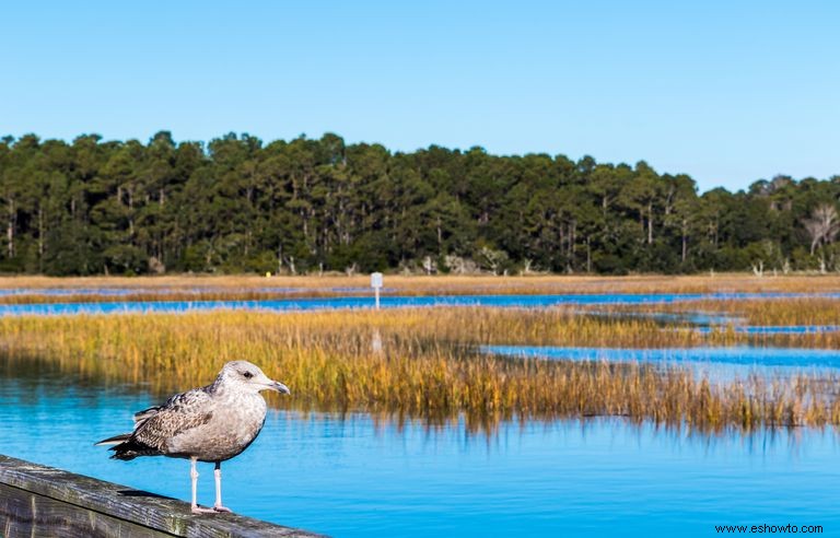 Las 30 escapadas a islas más mágicas de Estados Unidos 