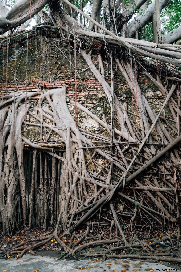 Los lugares abandonados más bellos del mundo 