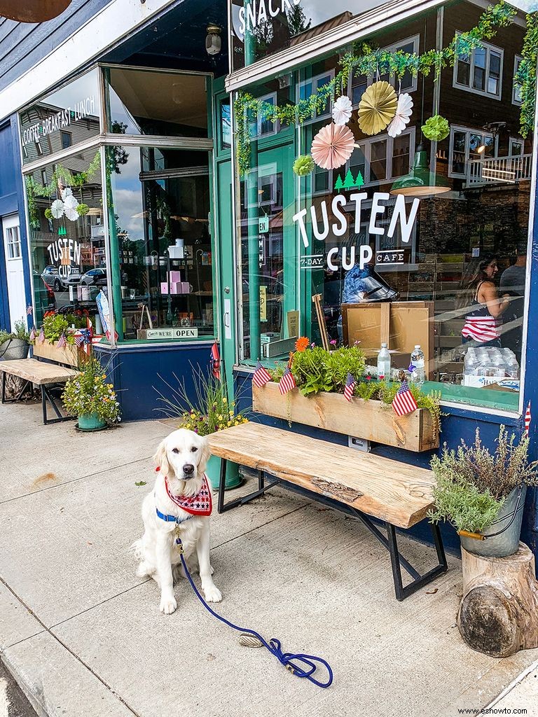 Escapada de primavera a una ciudad pequeña que amamos:Narrowsburg, Nueva York 