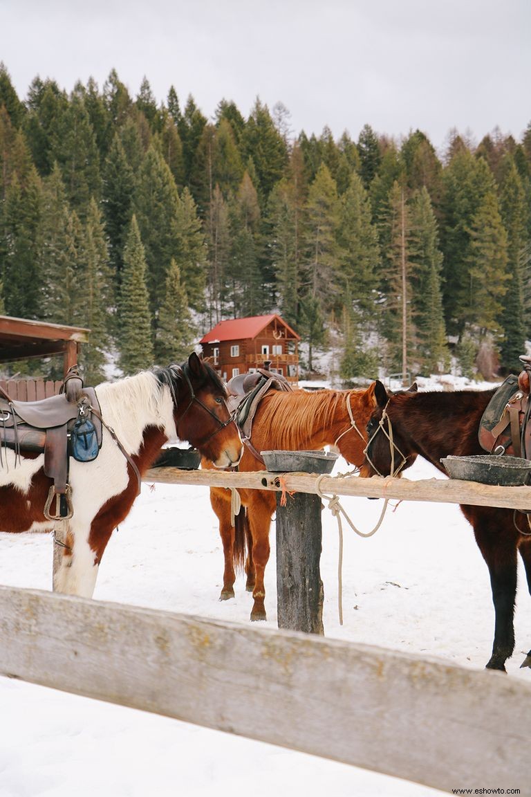 Por qué Whitefish, Montana es *la* ciudad pequeña para visitar este invierno 
