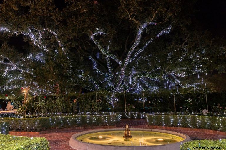 Las 38 mejores exhibiciones de luces navideñas en todo el país que son absolutamente impresionantes 