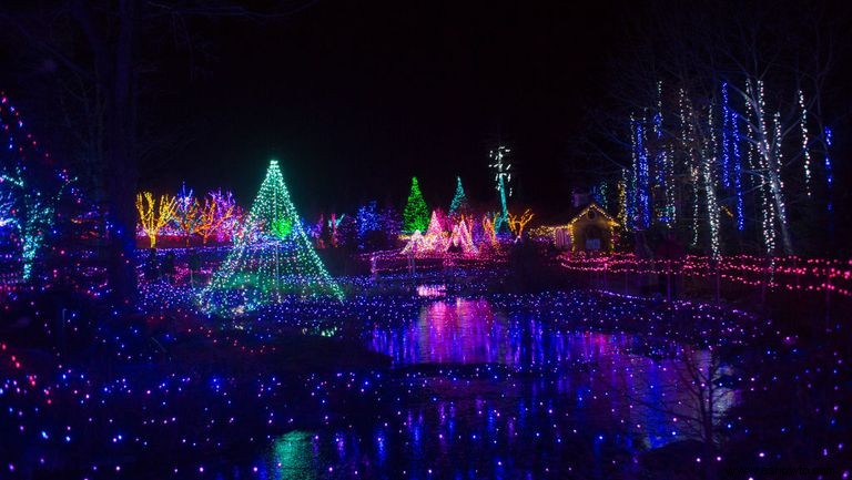 Las 38 mejores exhibiciones de luces navideñas en todo el país que son absolutamente impresionantes 