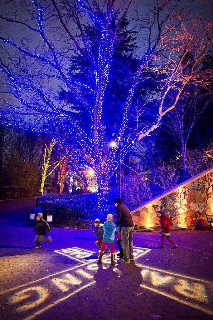 Las 38 mejores exhibiciones de luces navideñas en todo el país que son absolutamente impresionantes 