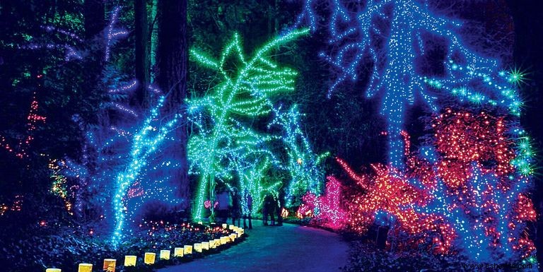 Las 38 mejores exhibiciones de luces navideñas en todo el país que son absolutamente impresionantes 