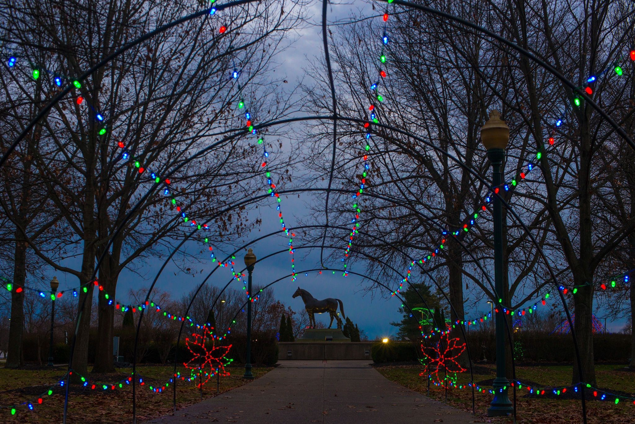 Las 38 mejores exhibiciones de luces navideñas en todo el país que son absolutamente impresionantes 