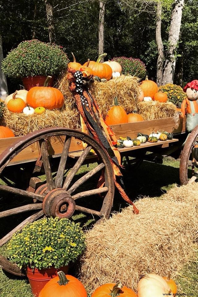 Las 37 mejores granjas de calabazas cerca de ti para visitar este otoño 