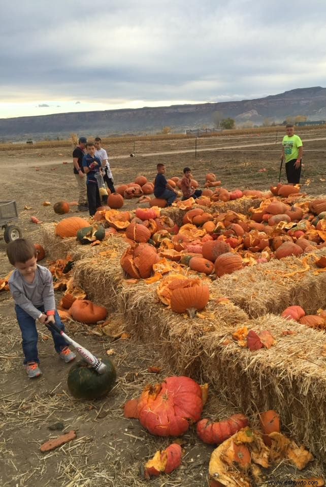 Las 37 mejores granjas de calabazas cerca de ti para visitar este otoño 