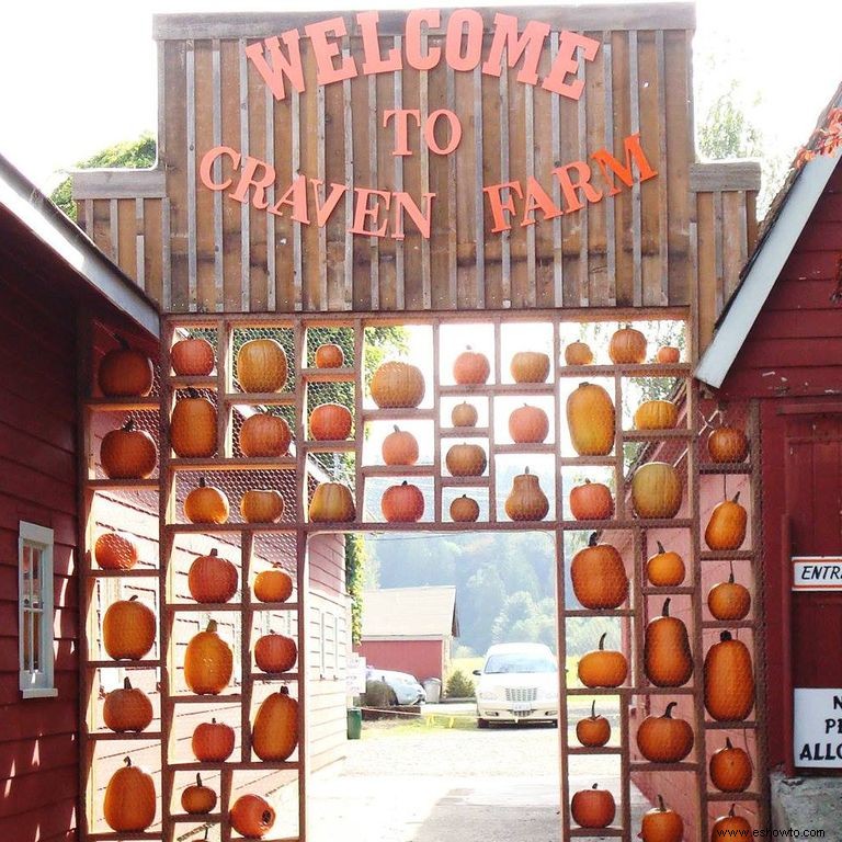 Las 37 mejores granjas de calabazas cerca de ti para visitar este otoño 