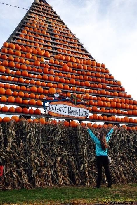 Las 37 mejores granjas de calabazas cerca de ti para visitar este otoño 