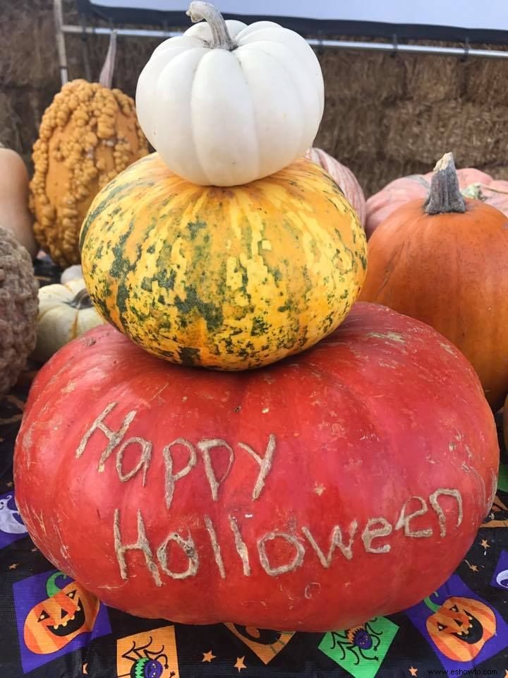 Las 37 mejores granjas de calabazas cerca de ti para visitar este otoño 