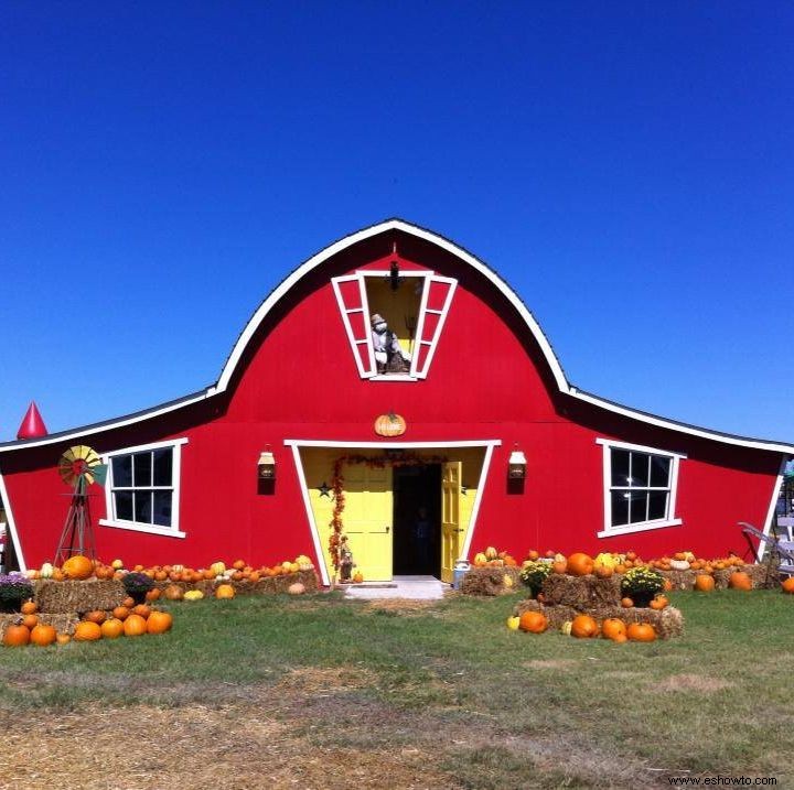 Las 37 mejores granjas de calabazas cerca de ti para visitar este otoño 