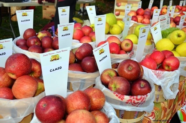 20 maneras de tener un día lleno de diversión en Lambertville, Nueva Jersey 