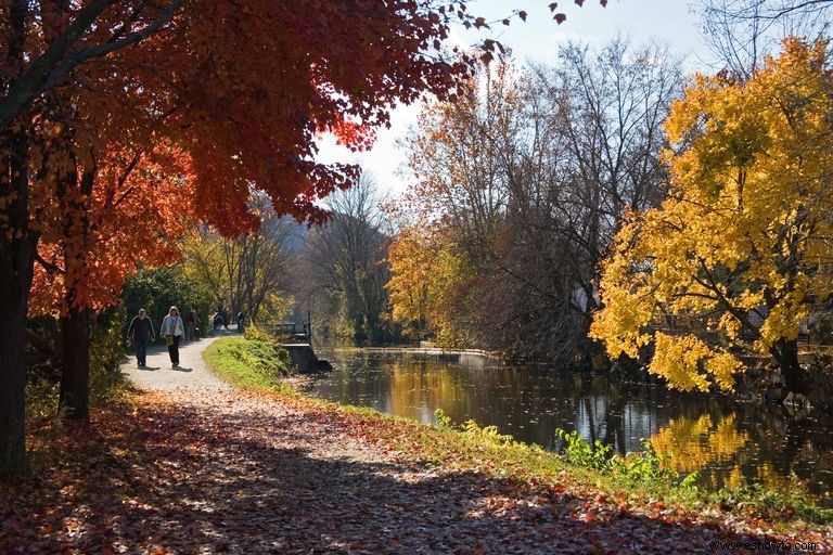 20 maneras de tener un día lleno de diversión en Lambertville, Nueva Jersey 