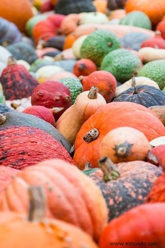 15 mejores pueblos pequeños para visitar este Halloween para casas embrujadas, ferias de comida y más 