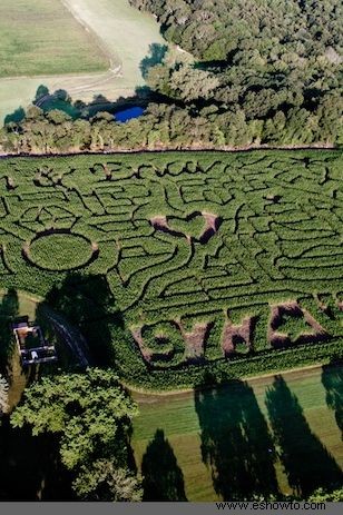 33 mejores laberintos de maíz cerca de ti para visitar este otoño 